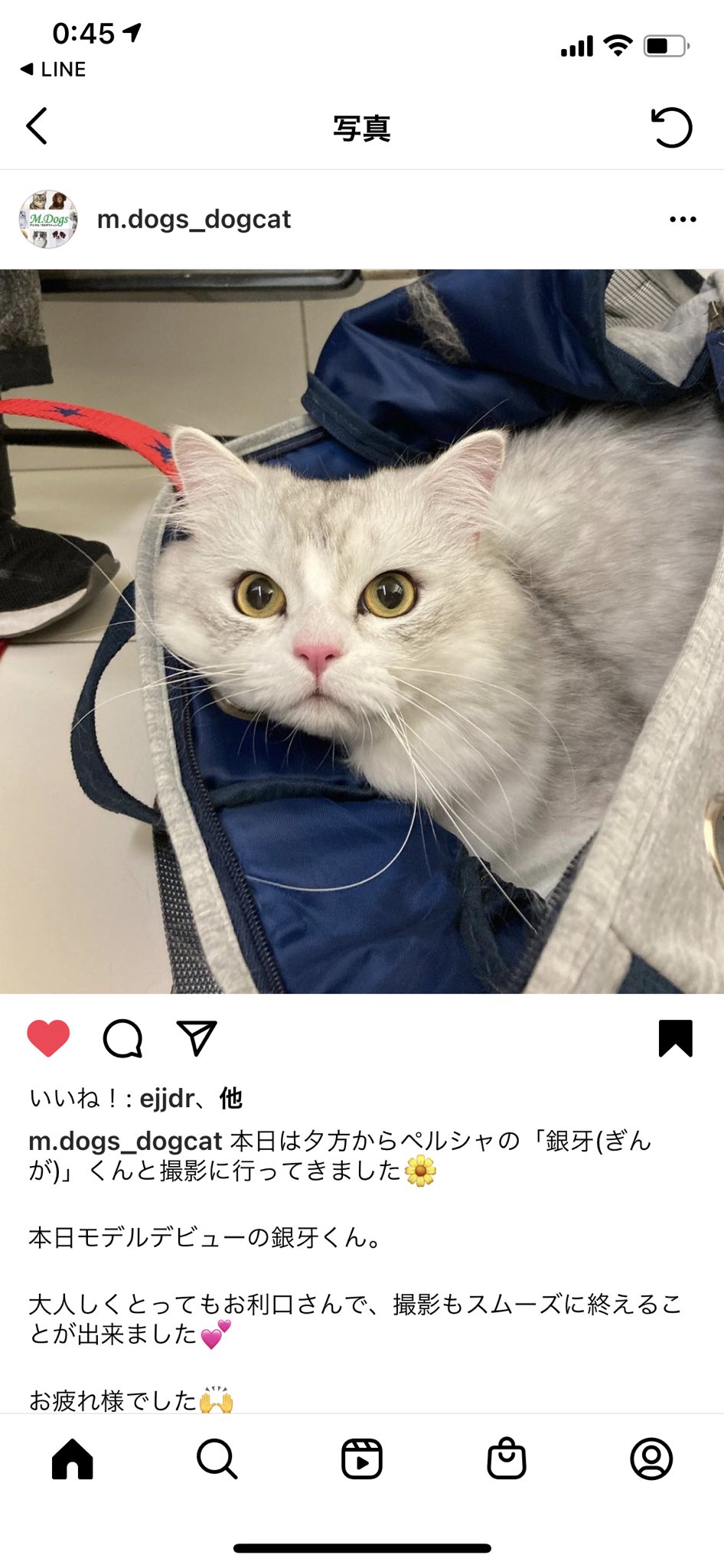 星飛愛 Yuko Twitter