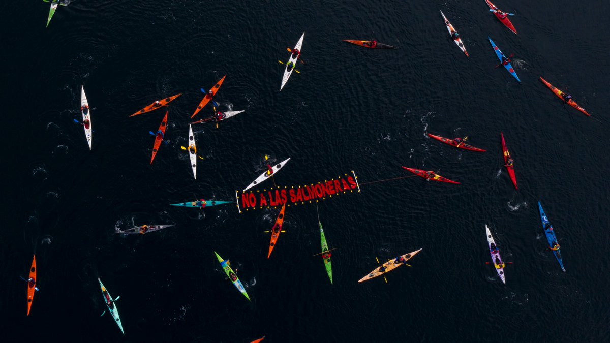 Hoy, junto a nuestros hermanos chilenos, unimos el Canal Beagle para decirle #NoALasSalmoneras y demostrar que en la naturaleza no existen las fronteras. <a href="/RewildingArg/">Rewilding Argentina</a> @TompkinsRewild @TompkinsConserv <a href="/PuebloYagan/">Comunidad Indígena Yaghan de Bahía Mejillones</a> <a href="/benonagual/">conscienciacomún</a> @aguantenatales <a href="/AcueOficial/">A.C.U.E. Natales</a>