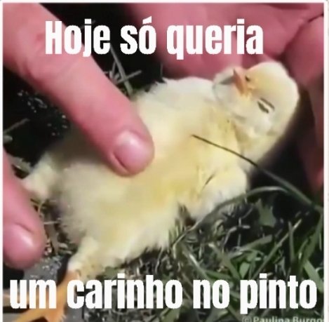 TheDarknessPGDM's tweet photo. um Sticker que me representa hoje https://t.co/wjwFziQJId