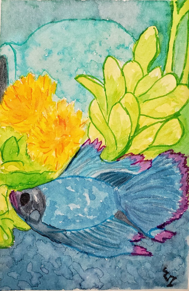 ADailyViolet1's tweet image. Human is playing with new paints - @ZiggyWearsHats do you recognize this fishie?