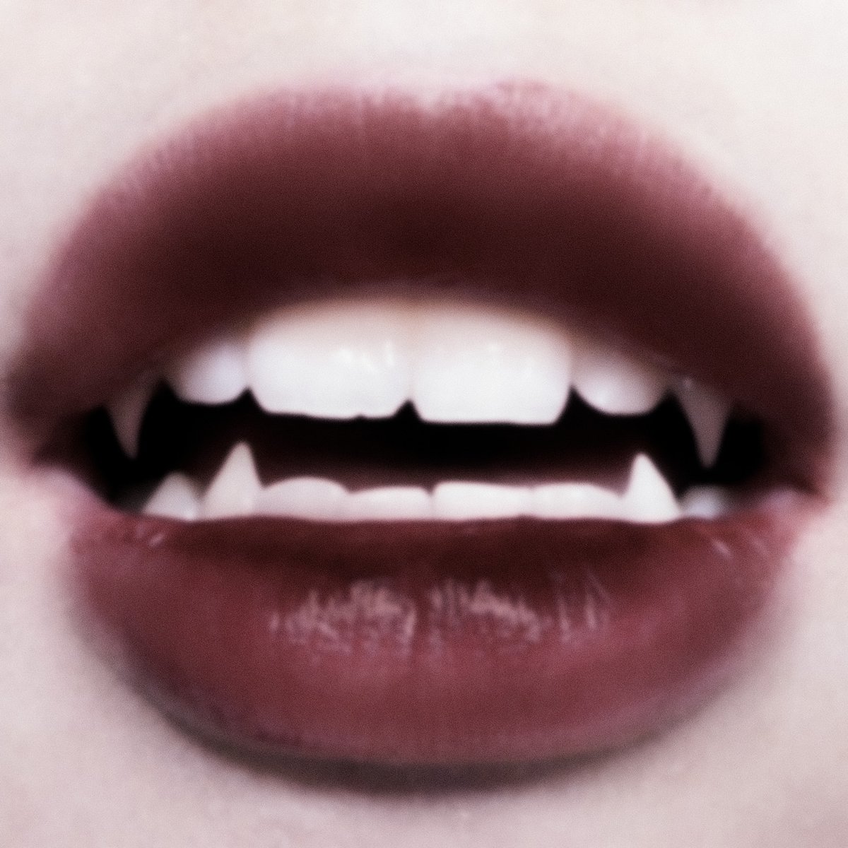 AyudaRolera's tweet image. ❦ ════ •⊰❂ - ❂⊱• ════ ❦

• 𝑩𝒖𝒔𝒄𝒂𝒎𝒐𝒔 𝒑𝒆𝒓𝒔𝒐𝒏𝒂𝒋𝒆𝒔 𝒅𝒆 𝑪𝒂𝒔𝒕𝒍𝒆𝒗𝒂𝒏𝒊𝒂.
• 𝑰𝒏𝒕𝒆𝒓𝒆𝒔𝒂𝒅𝒐𝒔 𝒄𝒐𝒏𝒕𝒂𝒄𝒕𝒂𝒓 𝒄𝒐𝒏 @FlowerRol 𝒚 @songtoachilles.
• 𝑪𝒂𝒏𝒐𝒏𝒔 𝒚 𝑶𝑪'𝒔.

¿𝑹𝑻?
❦ ════ •⊰❂ - ❂⊱• ════ ❦