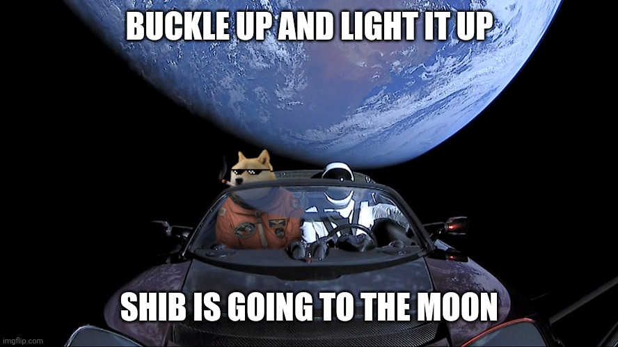 HandedShiba's tweet photo. @DegenerateHand @elonmusk 
#SHIBARMY #HODL #Crypto $SHIB https://t.co/HhZG6tIhr7