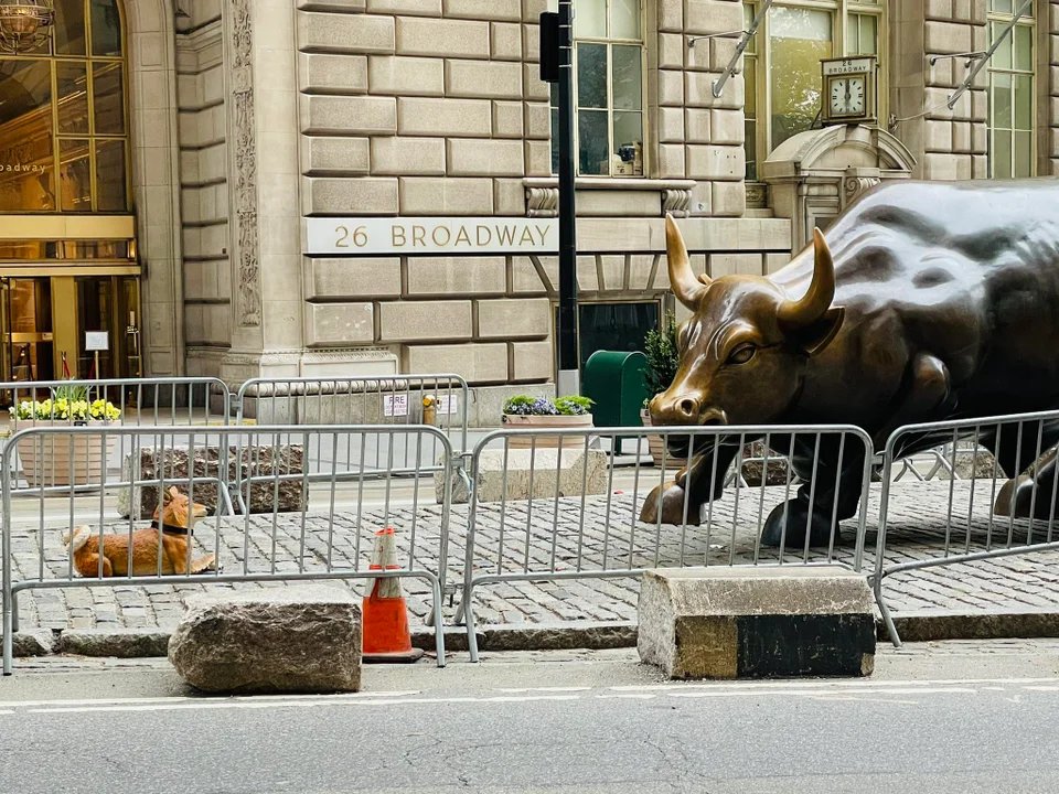 doge511's tweet photo. Fighting the BULL #DogeWin #dogetothemoon #DogeCoinTo1Dollar #dogearmy #DogeArmyStrong https://t.co/AjQA6Q8OkS