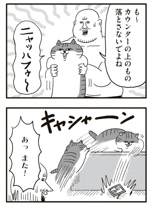 いらんことする猫と私🐱
#ヒゲ母ちゃんがんばりマッスル 