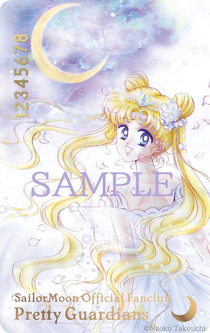 本物の セーラームーンイラスト Sawa 様ご専用 アート 写真