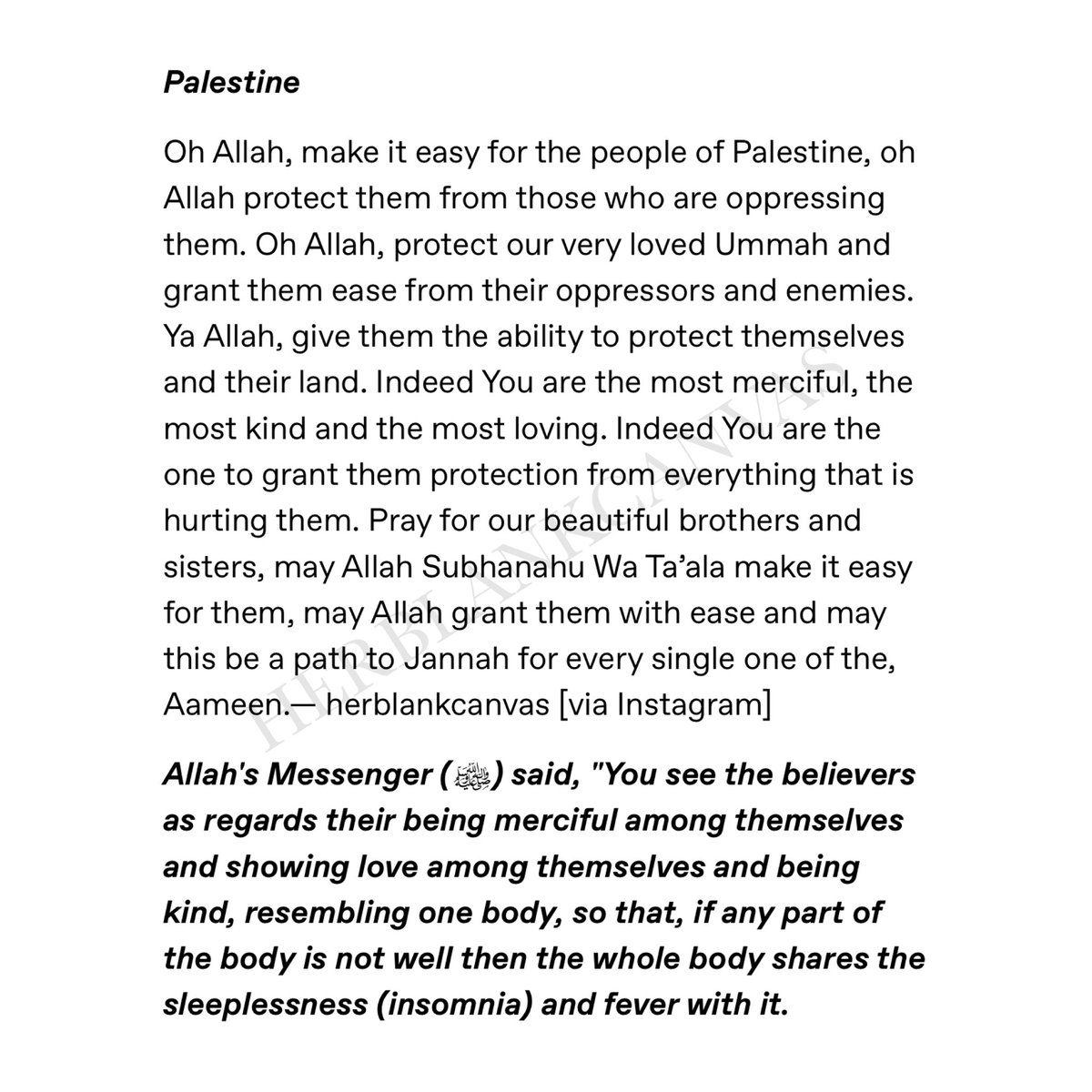 Palestine 🇵🇸 #ourprayersarewithyou