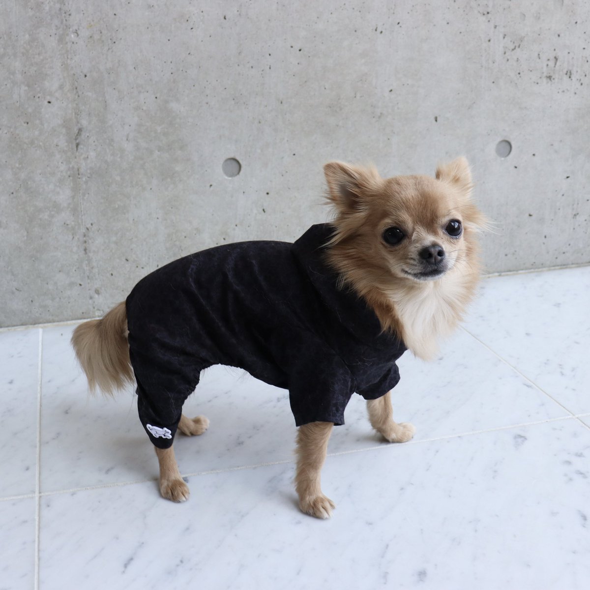 weib_dog's tweet photo. #草木柄ロンパース
(WHT/BLK)

伸縮性
☆☆☆

流行の草木柄がポイントのロンパース
フードがカジュアルさと他と被らない特別感を漂わせてくれます
マナーオムツ隠しや毛抜け防止にも大活躍
涼しげな薄手の生地を使用しています
伸縮性はありません
足首にロゴのワンポイントを付けました♡

#犬 #dog https://t.co/YMOsvKlAtc