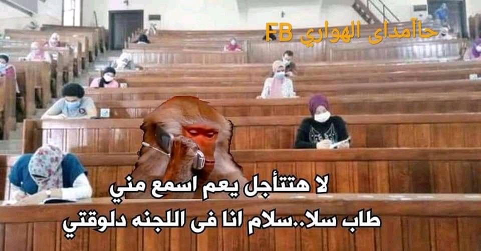 انا فصلت😂😂😂😂😂😂😂😂😂