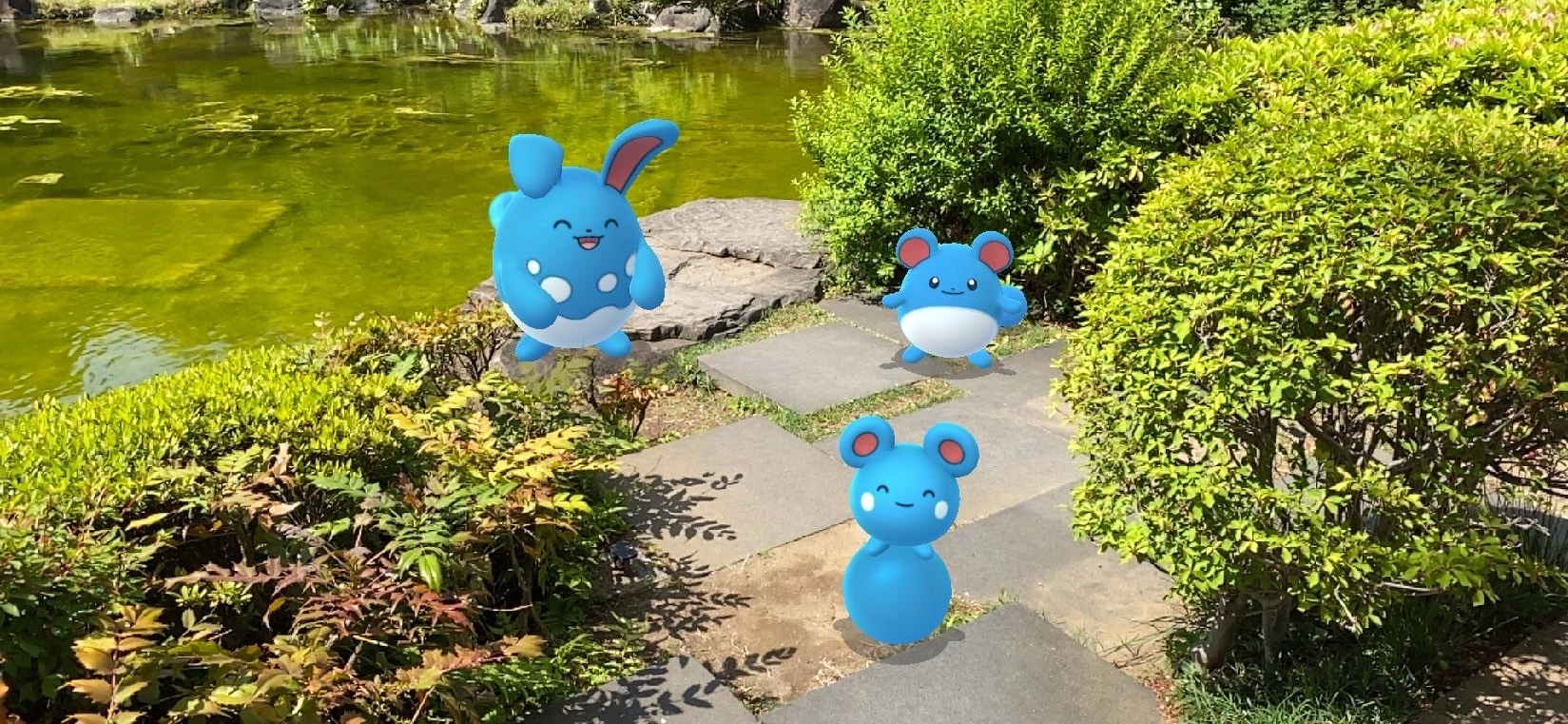 公式 ポケモン情報局 ポケモンgo で マリル の 限定リサーチ イベントが開催中 水辺で楽しく遊んでいるマリルたちをパシャリ イベントと合わせて Gosnapshot も楽しんでくださいね T Co 4rg4s56miy T Co Vi74fknank Twitter