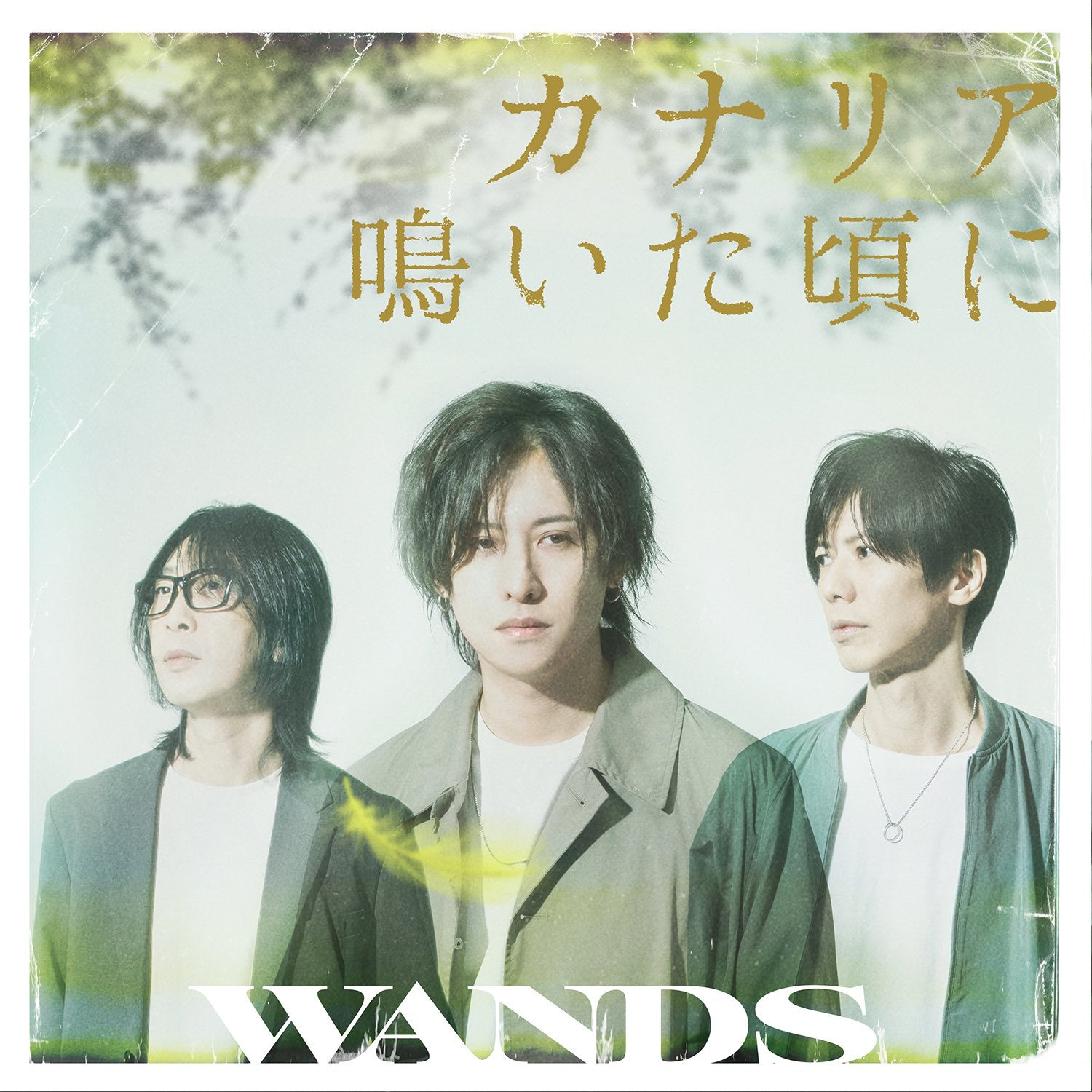 WANDS 第5期直筆サイン色紙