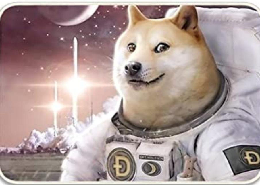 doge0ne6's tweet photo. Booster rockets ON!!! Countdown... #dogecoin #Dogefather #ToTheMoon #itsAdogedogeWorld https://t.co/oCII6tc9BZ