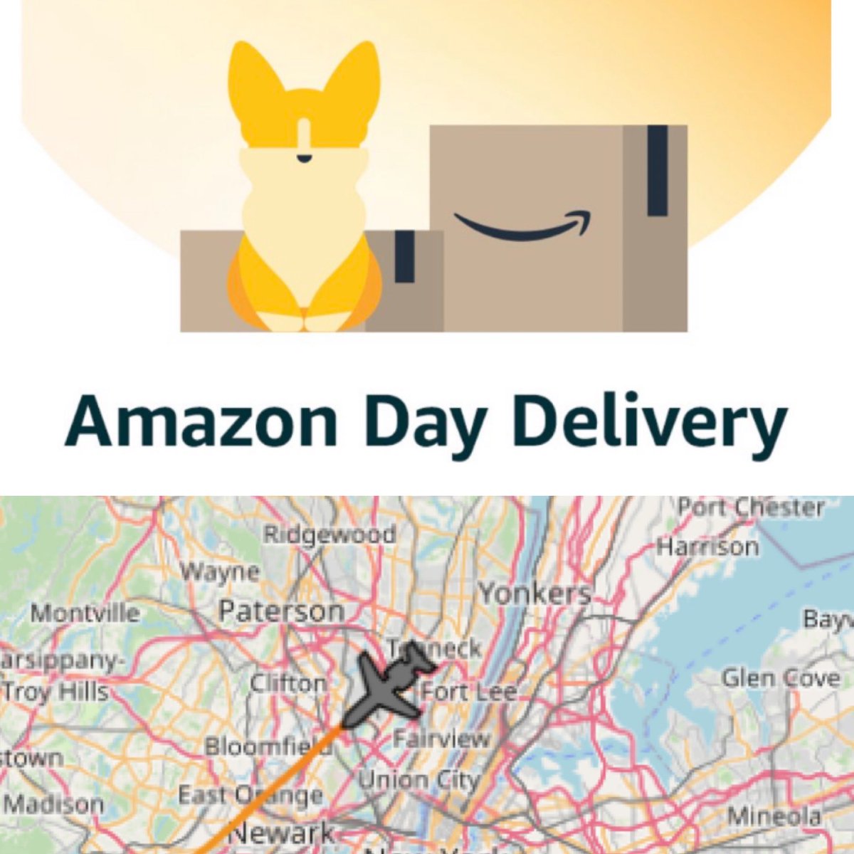 MattWallace888's tweet image. AMAZON JUST PUT A DOGE ON THEIR APP TODAY!

ALSO JEFF BEZOS PLANE JUST LANDED IN NJ NEAR THE SNL STUDIO 👀👀👀👀

#Dogecoin #SNL #DOGESNL #ElonMusk #Amazon #SaturdayNightLive #Doge