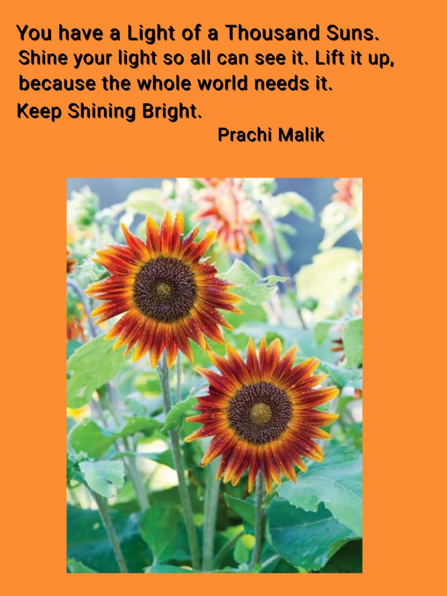 PrachiMalik's tweet photo. @KariJoys Keep #ShiningBright, Dear #RadiantSouls😇 because, You have a #light of a #ThousandSuns!🌞🌞
Thank you, Dear Kari for Shining Bright!💛✨
#LUTW
#BeTheLight
#SpreadJoy
#RainKindness
#JoyTrain
#HappyVibes https://t.co/kNuN207Eff