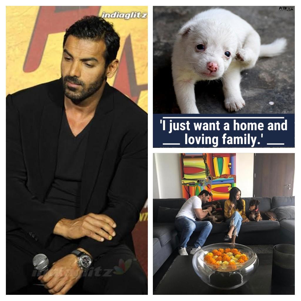 suman_Patahi's tweet photo. At this time, most producers in the industry are apprehensive about their films, in such a crisis, #John_Abraham is arranging to take animals to Central to feed the animals, John is so busy in his noble work that he is not worried about other things. 🙏💕😘
@TheJohnAbraham https://t.co/hIoK8XwO7Z