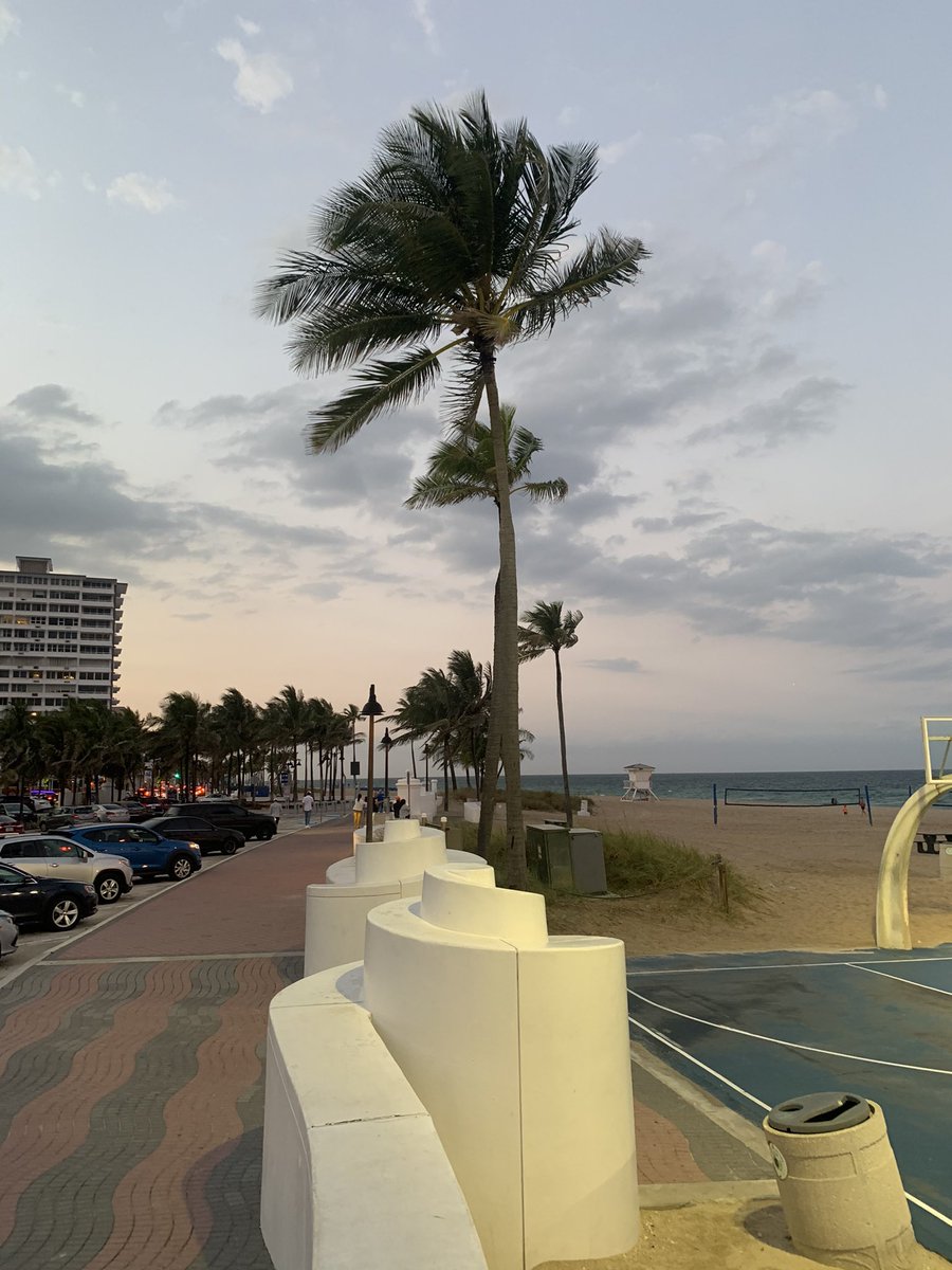 Miami is love 🌴 🌴