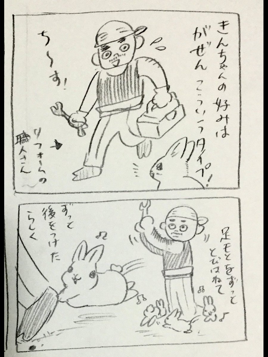 非道うさぎ、きんちゃん物語 