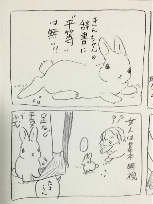 非道うさぎ、きんちゃん物語 