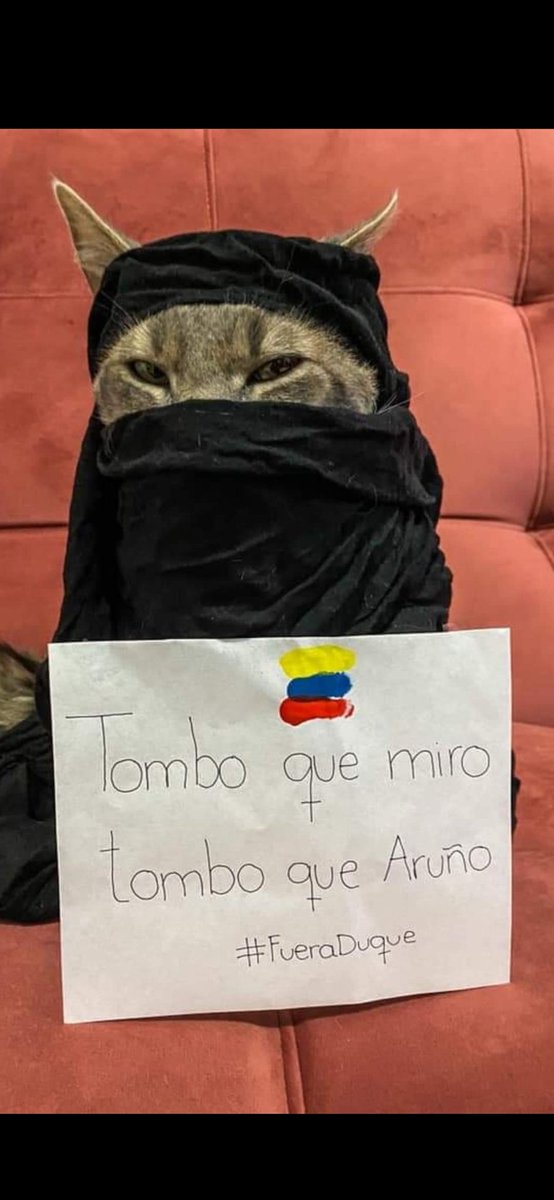 7baker_1's tweet photo. 😽 https://t.co/UF6bkKDVE6