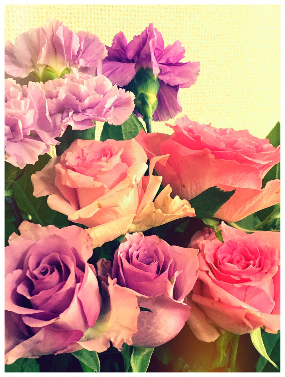 あまりものだから と昨日お世話になった花屋で花を貰ってきたんですが 少し痛んでい 𝕞𝕚𝕦のイラスト あまりものだから と昨日お世話になった花屋で花を貰ってきたんですが 少し痛んでい 𝕞𝕚𝕦のイラスト