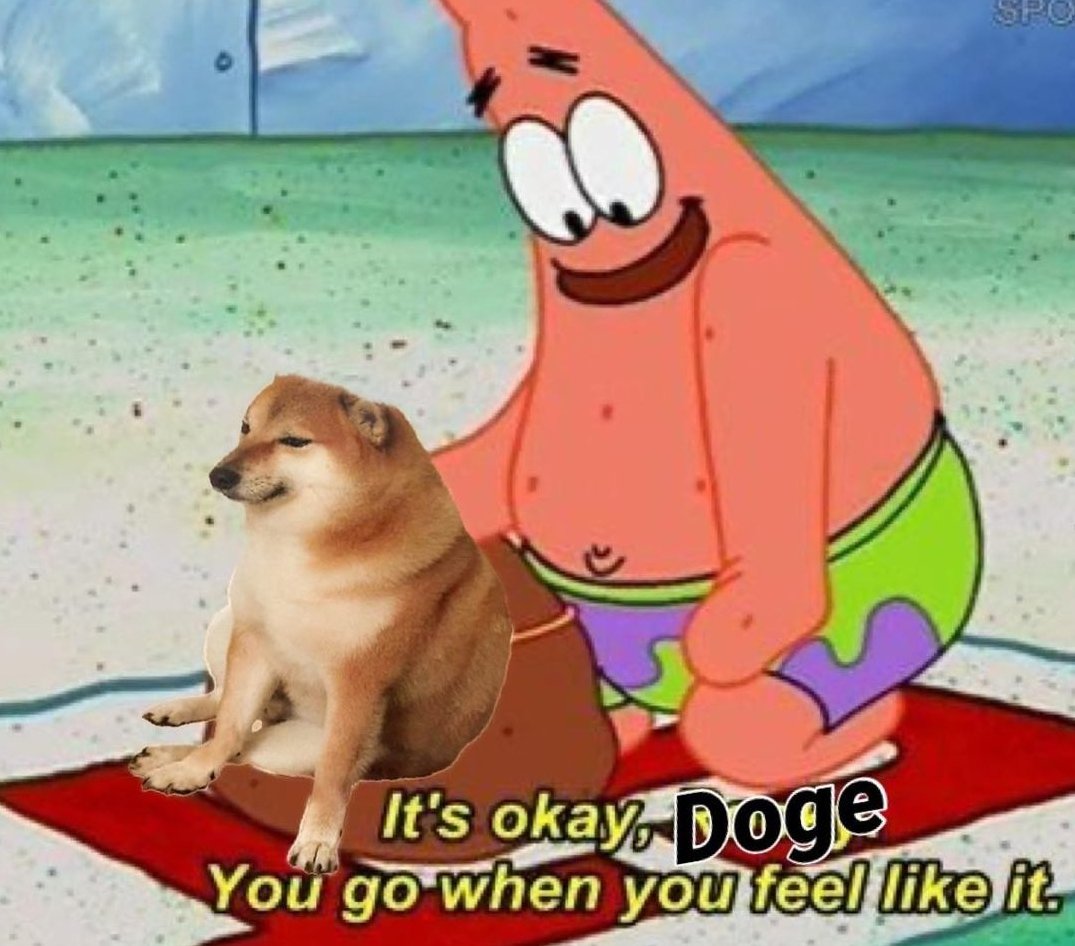 MoveFaster ✨ tweet media