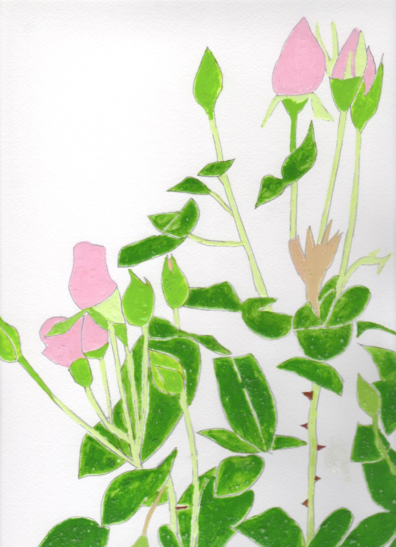 蓑島えみ バラの蕾 21 5 9 花 Flower バラ Rose 植物 蓑島えみ Minoshimaemi Emiminoshima イラスト イラストレーター Illustration Drawing 絵 T Co Wlt4rmlrox Twitter 蓑島えみ バラの蕾 21 5 9 花 Flower バラ Rose 植物 蓑島えみ Minoshimaemi Emiminoshima イラスト イラストレーター Illustration Drawing 絵 T Co Wlt4rmlrox Twitter