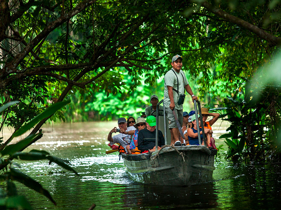 Парк джунгли анапа. Бразилия тропические леса сельва. Круиз по перуанской амазонке. Диснейленд гонконг круиз по джунглям. Go on the jungle cruise explore.