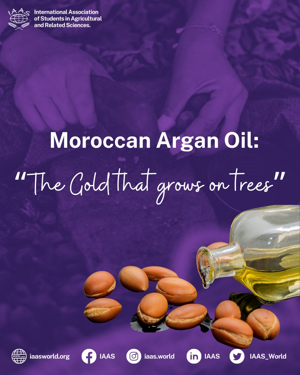 IAAS_World's tweet photo. Hello #FamilIAAS
During this #ArganianWeek weβve discovered some relevant information about this Moroccan endemic culture!
#IAASWorld #ThinkGloballyActLocally #WeBelieveinIAAS #ArganianWeek #Unesco #MoroccanHeritage #SaveArgania #TakeAction #CelebrateArganianDay https://t.co/25lhIOZYAK