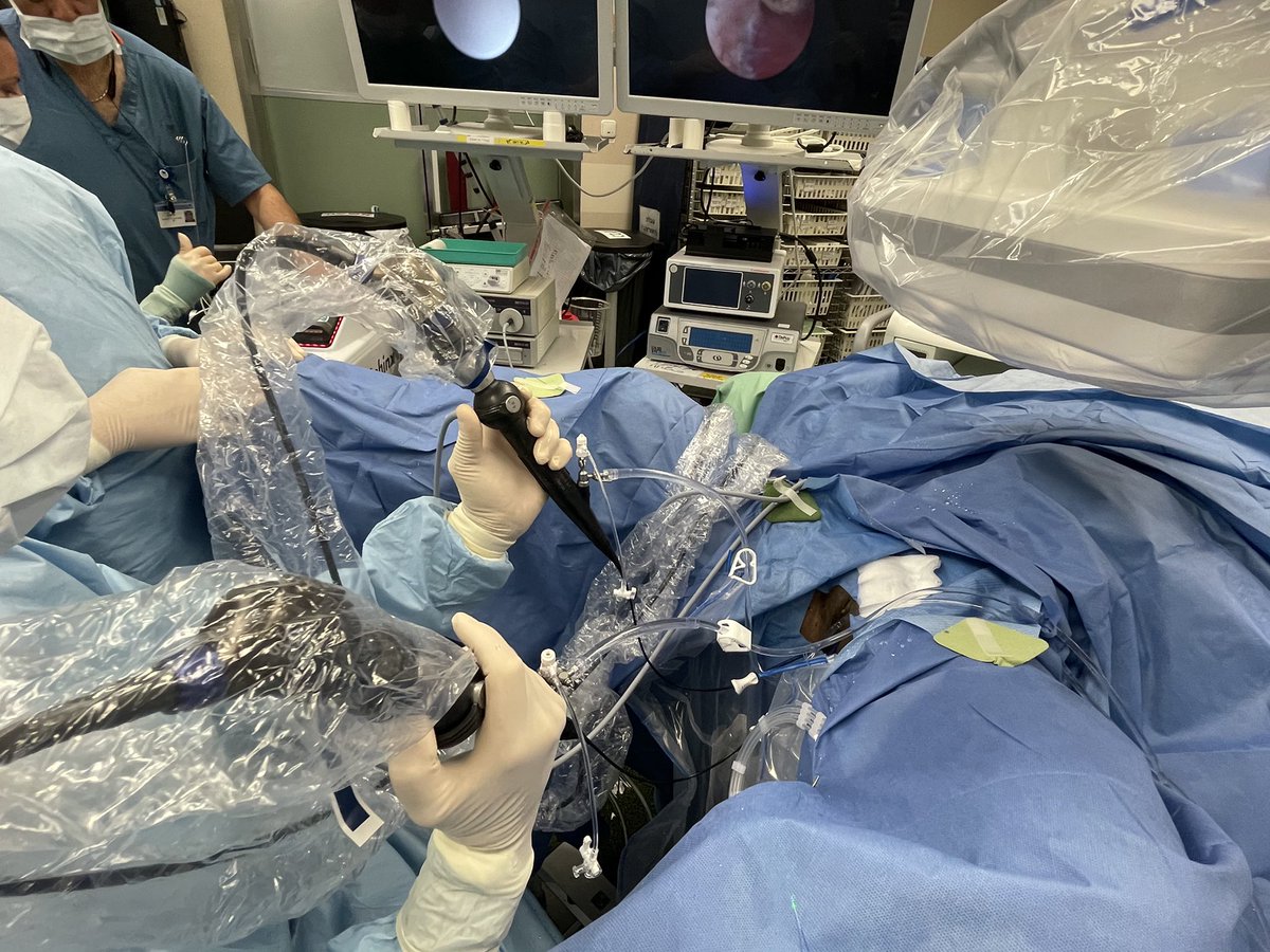mario_sofer's tweet photo. SSSRIRS: Simultaneous Single Surgeon RIRS! Feasible but probably easier for an octopus. https://t.co/moqdlg0KyE