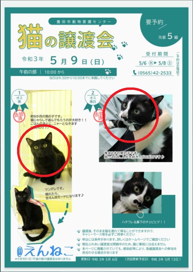 豊田市動物愛護センター 豊田市動物愛護センター