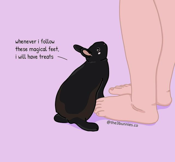 SNORSSanctuary's tweet photo. Do your rabbits think you are a walking treats dispenser?
#treats #sundaymood #rabbitfun #rabbitlove #bunnylove #treatsplease #sundayfunday #SNORS #rabbitcare #rabbits Image by @the3bunnies.co https://t.co/JTmB8jI6jF