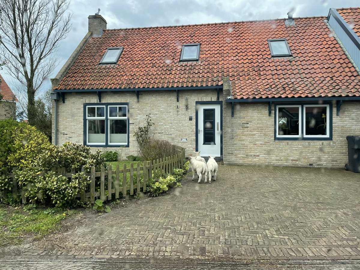 Het avondeten dient zich aan 😉 <a href="/richardtkiewiet/">richardtkiewiet</a>