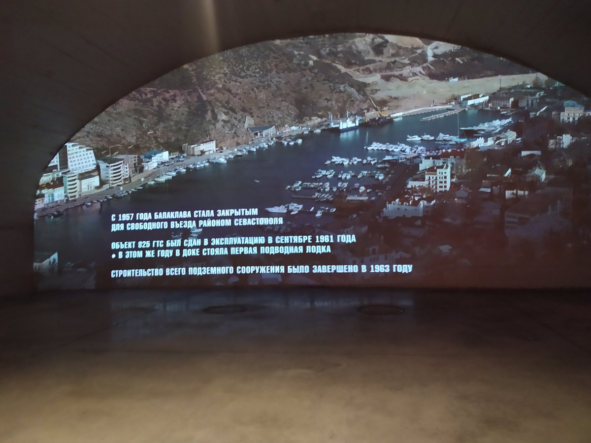 Pigulitsa tweet media