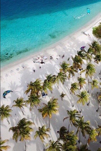 GianlucaCoccon1's tweet photo. Cayo Sombrero, isla ubicada en el Caribe Venezolano perteneciente al Parque Nacional Morrocoy, cuenta con dos grandes playas un bosque de palmeras de suave arena blanca y aguas cristalinas...Edo Falcón VENEZUELA 🇻🇪🇻🇪🇻🇪🇻🇪🇻🇪 https://t.co/vKvQH7FQCl