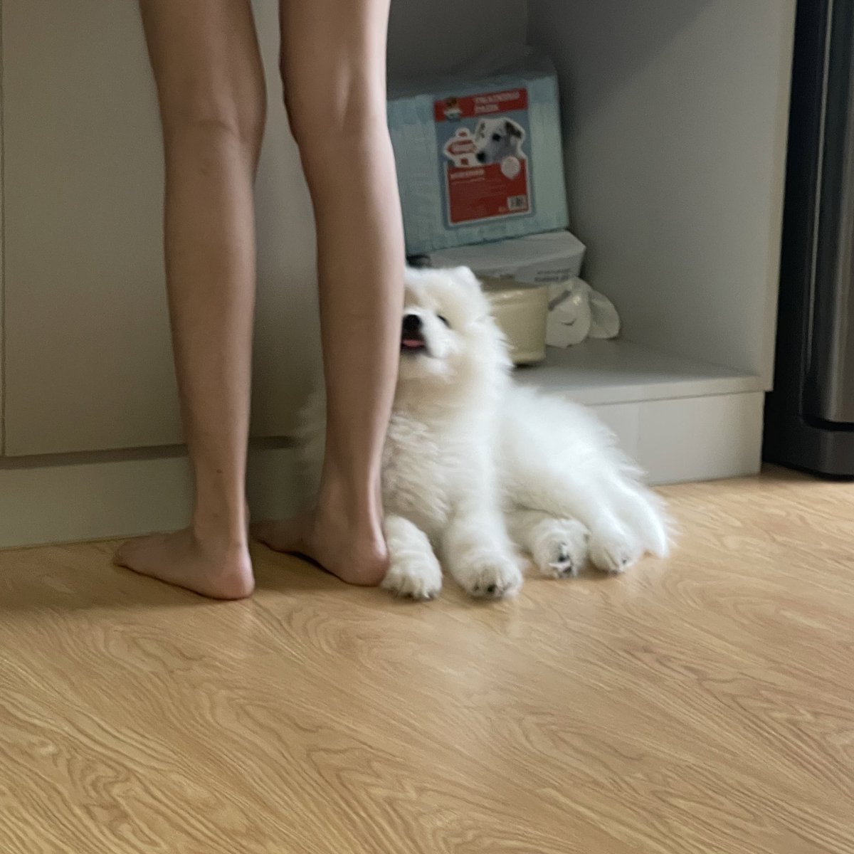 무영민정🍋 tweet media