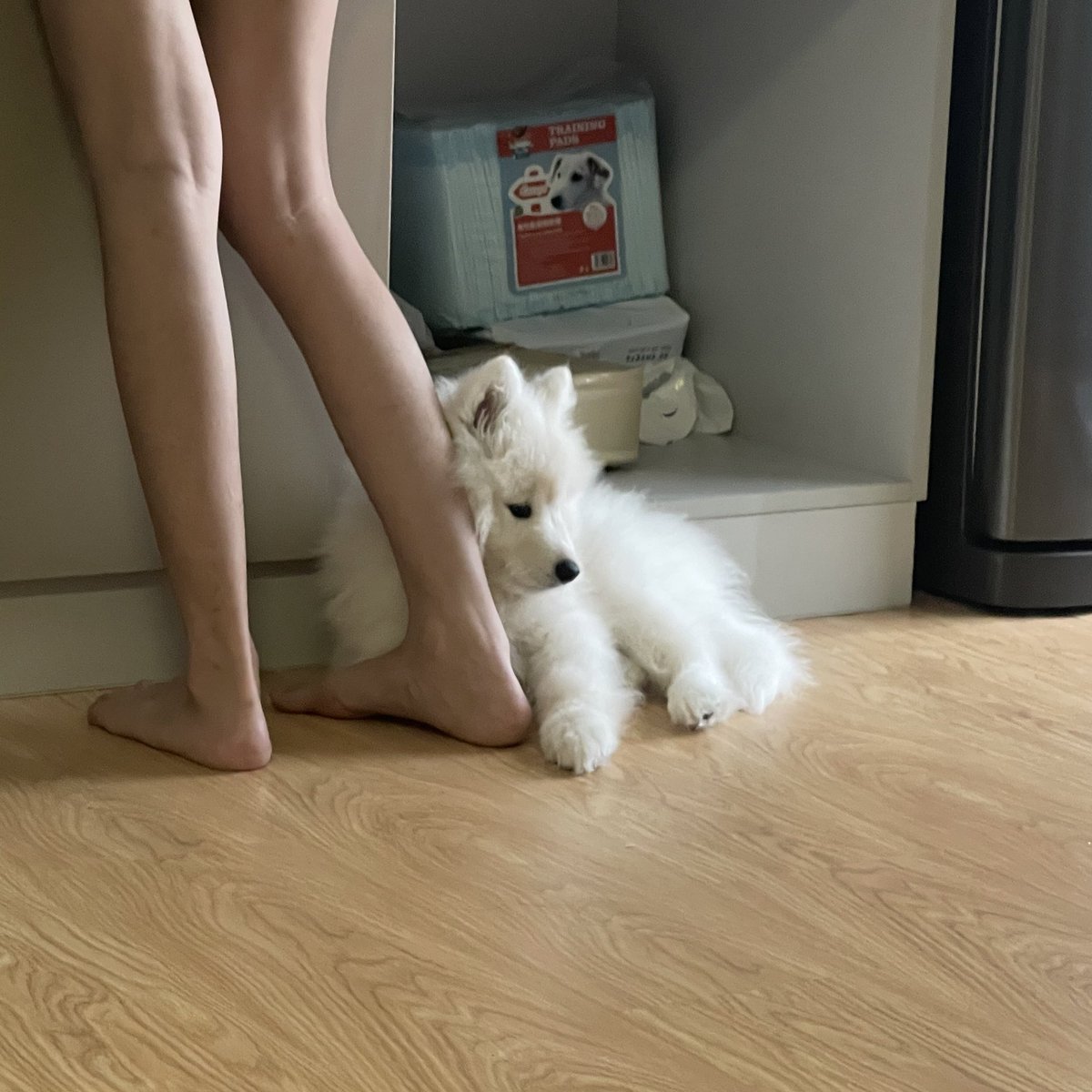 ขี้อ้อนค้าบบบบ