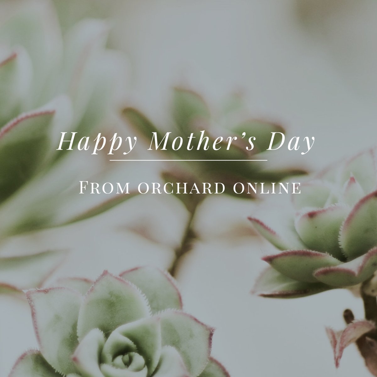 Orchard Online (@onlineorchard) on Twitter photo 
