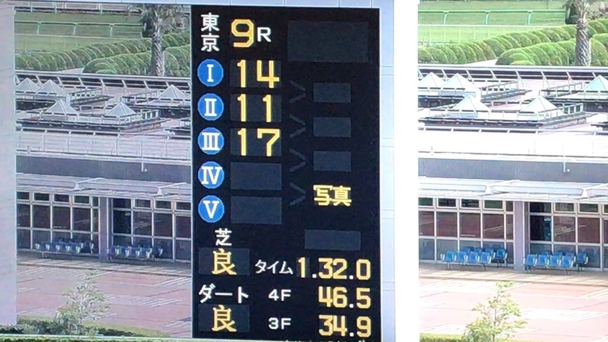 東京芝1600m