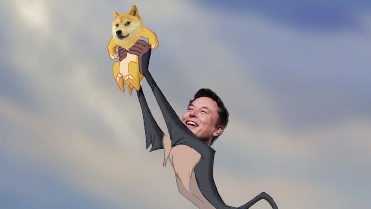 rajan19AI's tweet photo. Elon crushed it. Not the SNL but the dogecoin 📉🌭
#Dogecoins #SNLWithElonMusk https://t.co/IBdKHHh0H0