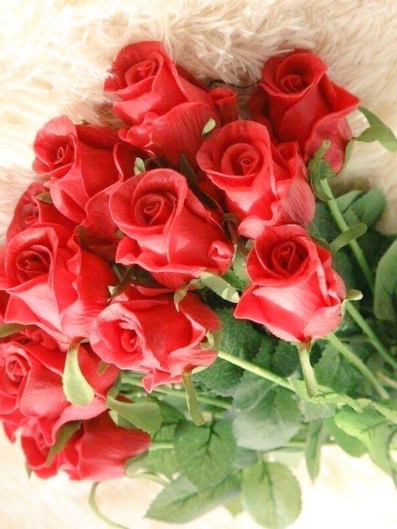 ecemli89_RT2's tweet photo. Hiç bir doktorun tedavisi, bir annenin "Öpeyim de geçsin" sözü kadar işe yaramaz..
Tüm annelerimizin
#AnnelerGünü kutlu olsun..🤱❤️💐 💞 https://t.co/mFaVlbNb0Y