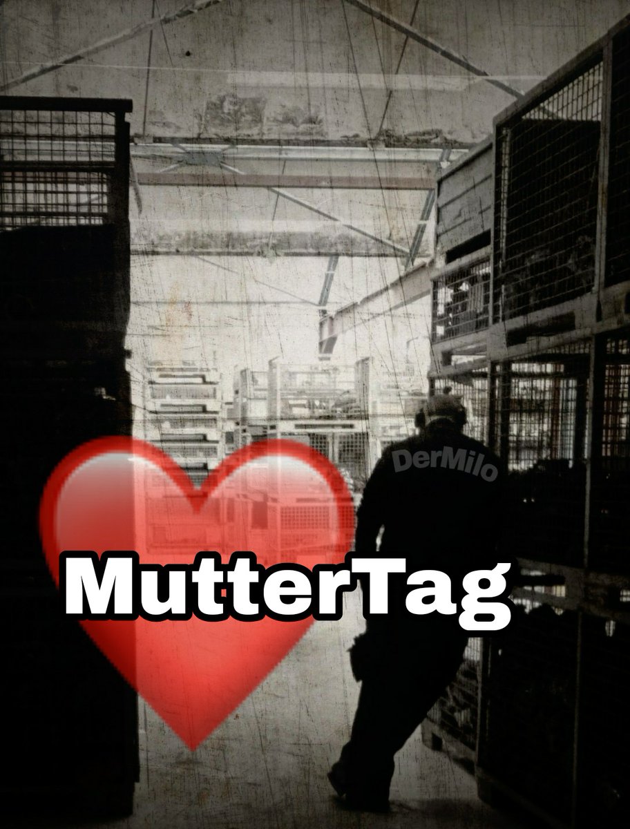 DerMiloTBSbyMP's tweet photo. #muttertags #n #annelerg #rabatt #kampanya #kampagne #teppichliebe #sterreich #yikanabilir #angebot #sale #indirim #uygunfiyat #waschbar #hal #teppich #carpet #nemark #holland #deutschland #belgien #europa #d #france #mutter #geschenkideen #lecker #tassen #kissengeschenkidee https://t.co/4ce0W8gbCk