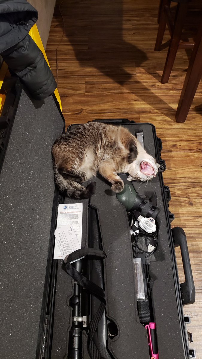 What do you keep in your rifle case?