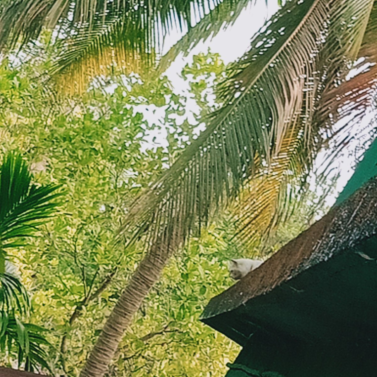 MackboolS tweet picture