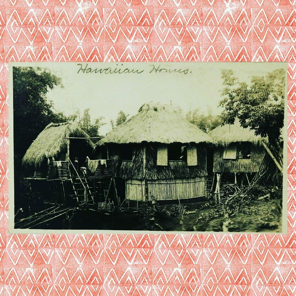 daHawaiianStore's tweet image. Beautiful old Hawaiian grass homes.  I wonder if any still exist in the islands? #grassshack, #grasshome, #hawaiianhome instagr.am/p/COpABaptXXf/