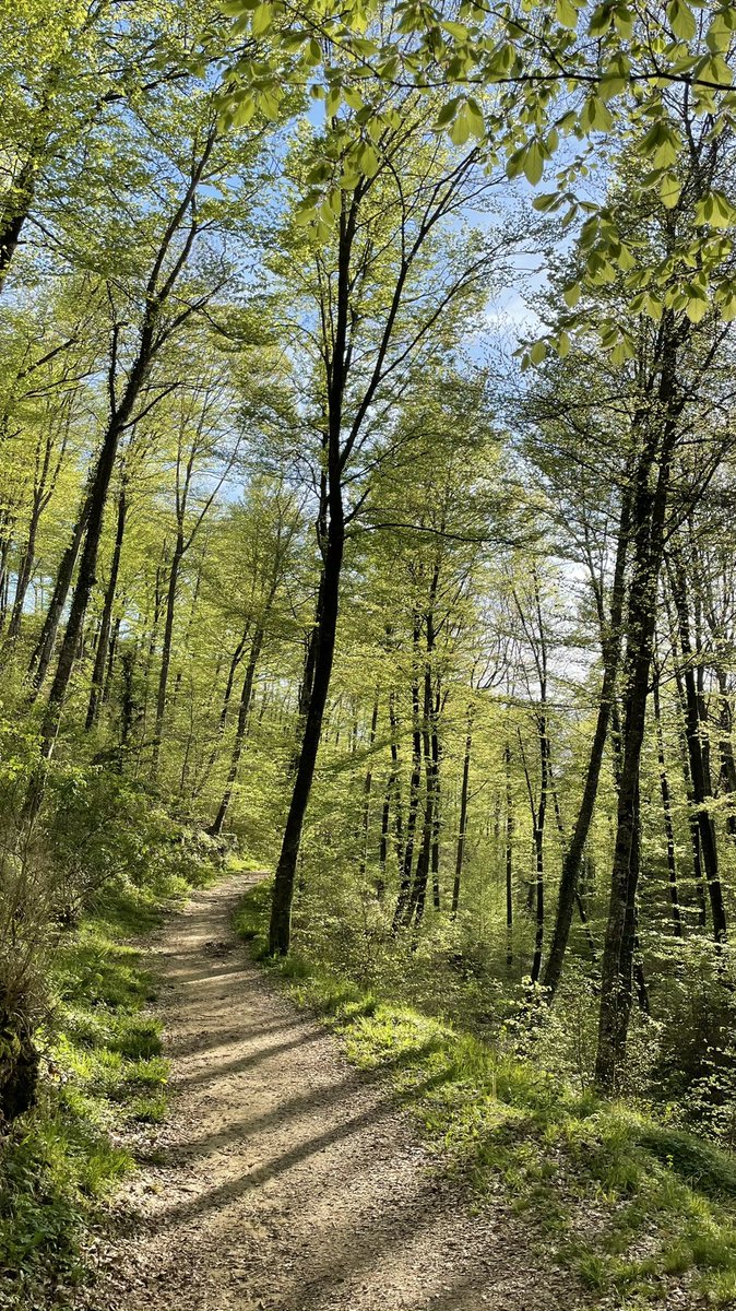 #Cantonigròs #Collsacabra #Cabrerès