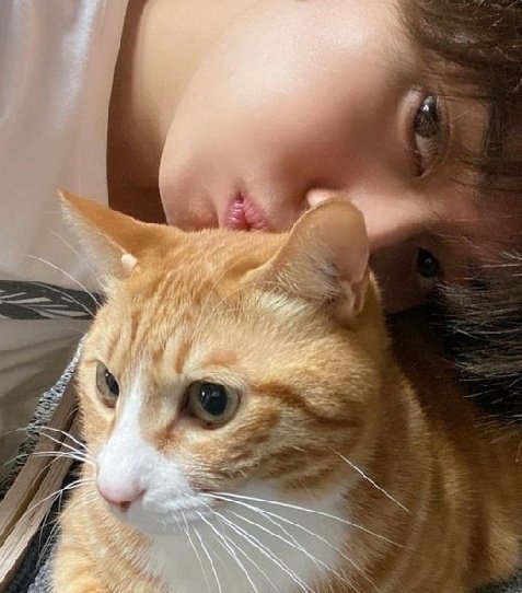 Sungjae & Lee know both have cats as their pet and they said that they look like cat. Lee know said that his dad taught him fishing. And we know how much Sungjae loves fishing & that he fishes with his dad. There are more! They both are weird & handsome & the self love they have!