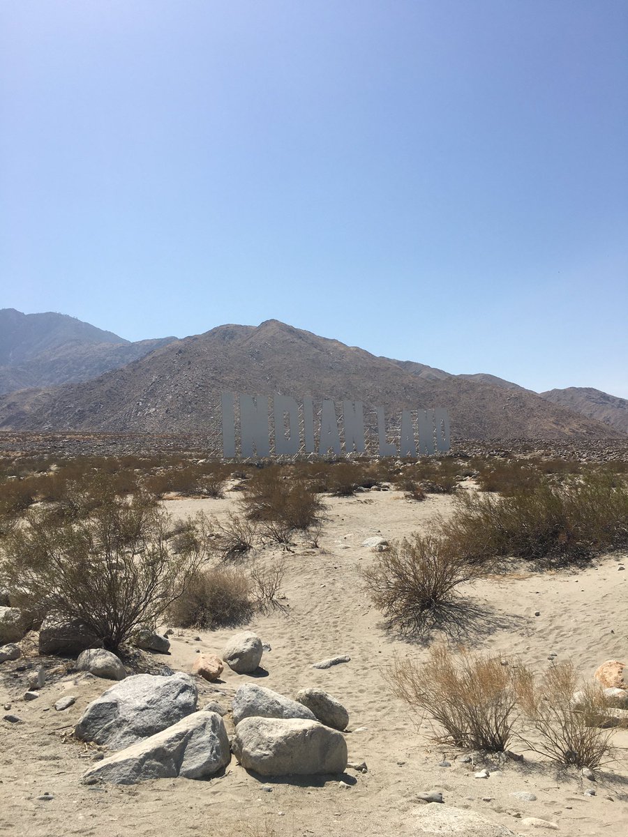 George P. tweet media