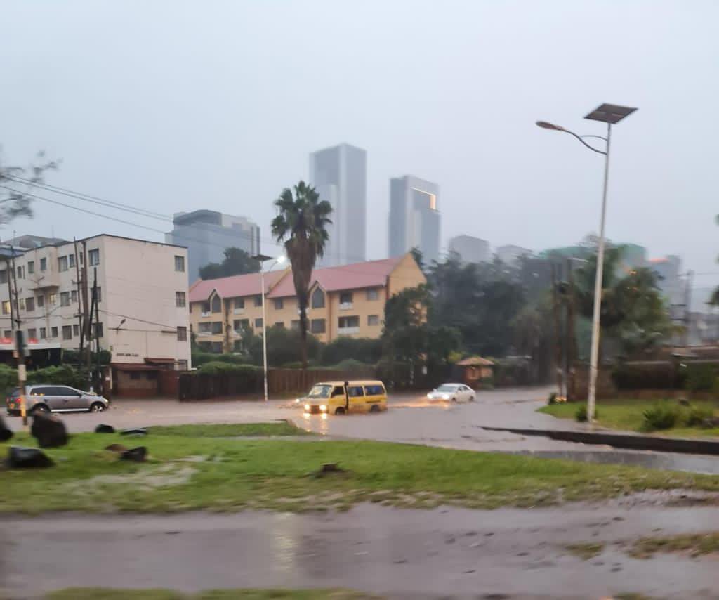 Paula Kahumbu tweet media