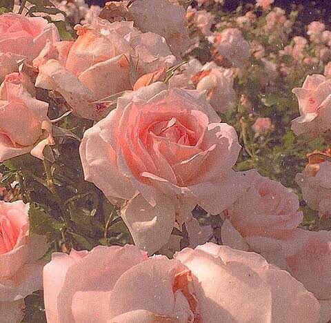 GEMCND_'s tweet photo. 𓂃𓈒𓏸

˗ˏˋ  𝙼𝚒𝚗𝚓𝚊𝚎ˎˊ˗

𝟶𝟻(𝟶𝟺)𝚕𝚒𝚗𝚎 ⌇ 同・他◎

 ♡or↻でお迎え行きます🧸

掛け持ち💣🖤

#GEMさんと繋がりたい
#Twitter上にいるMCNDペンさん全員と繋がるのが夢だったりするのでとりあえずこれを見たMCNDペンさんはRTとフォローしていただけると全力でフォローしに行きます https://t.co/KeFENDWX6y