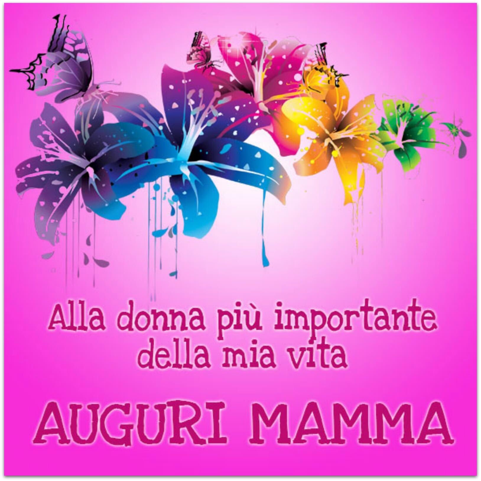 Augurimamma Twitter Search Twitter
