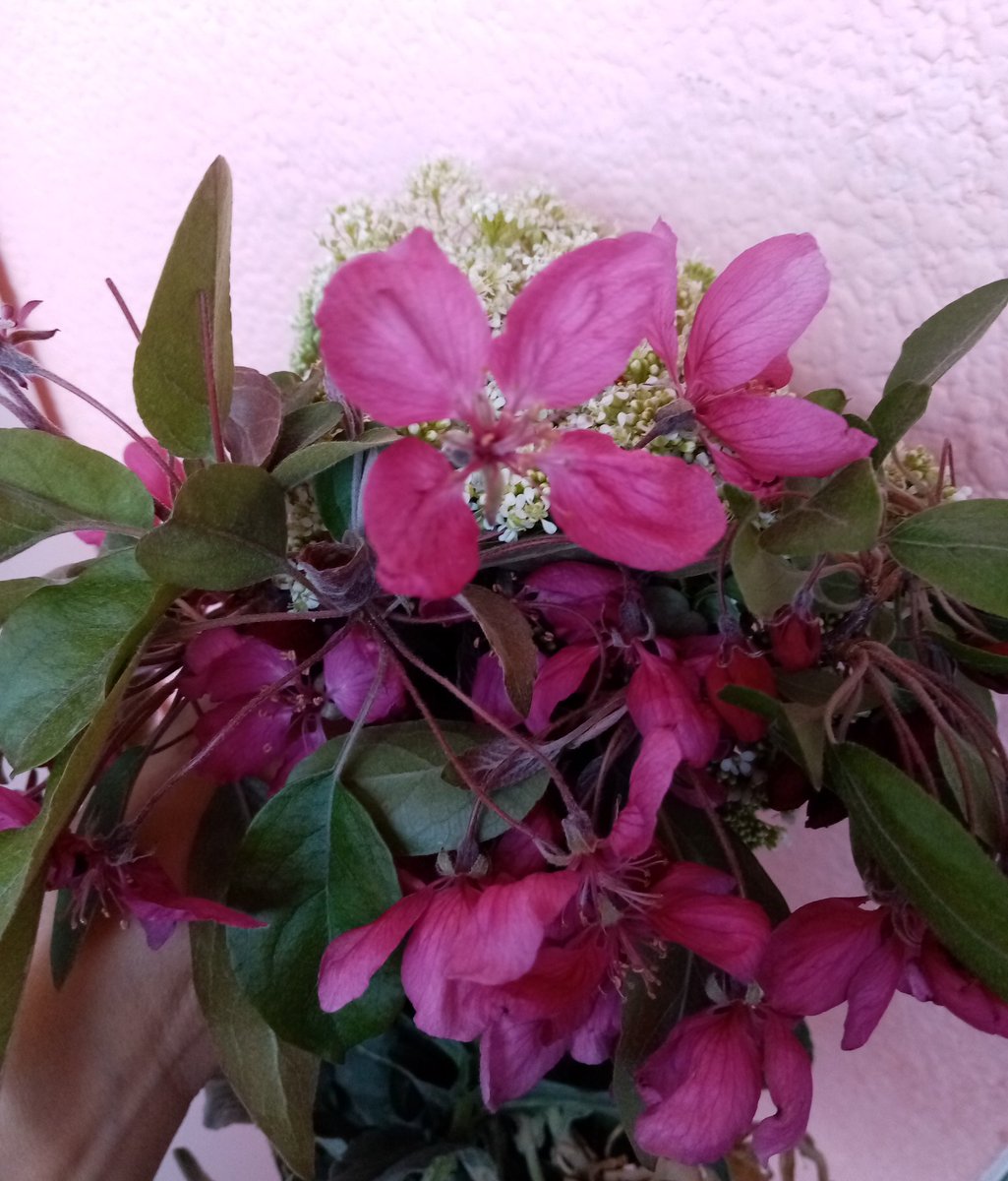 Evimizin en minnağından aldığım en güzel anneler günü hediyesi🤗😍🌸#9mayısannelergunukutluolsun
#annelergunu